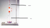 NaOh & HCl.gif NaOh & HCl.gif