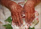 11261244438.webp