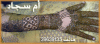 727965010.gif