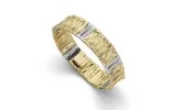 ring-30-3-2011.webp