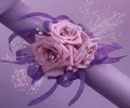 4.webp