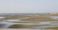 IMG_20210831_135359_359.webp
