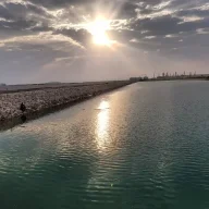 علي البلادي