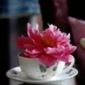 abeer73