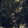 ابدأ_اليوم