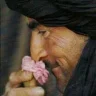 Ali Alsayyadi