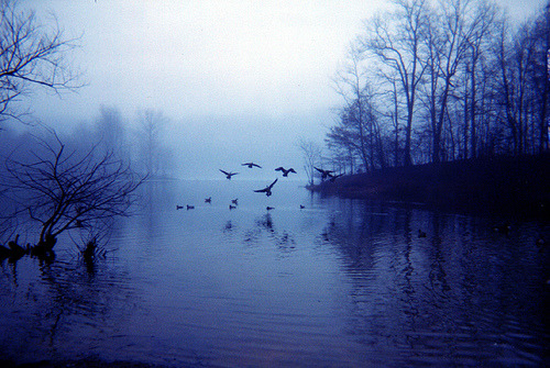 tumblr_m21nz0WdSC1qhvrhso1_500.jpg