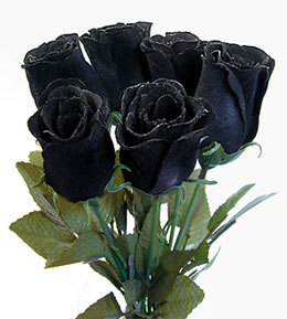 black_rose.jpg