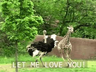 tumblr_nijmdbSGJ71tm0lv8o1_400.gif