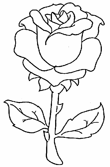flower-06.gif